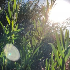 Meet your Posher, Alexys